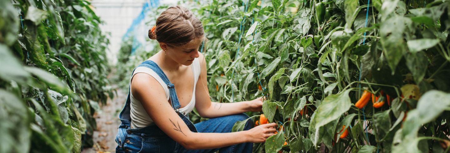 Het geheime ingrediënt van Food&i: inclusiviteit